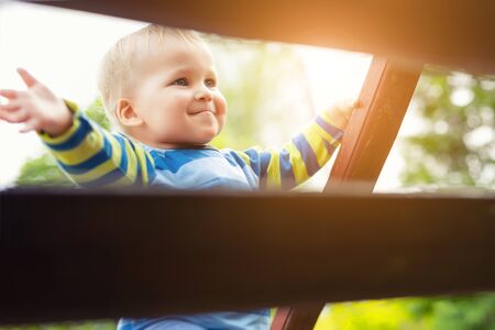 Portrait of cute mischievous caucasian blond baby boy holding wooden banister climbing staircase at outdoor backyard playground. Adorable happy child having fun playing outdoors at park area.の写真素材