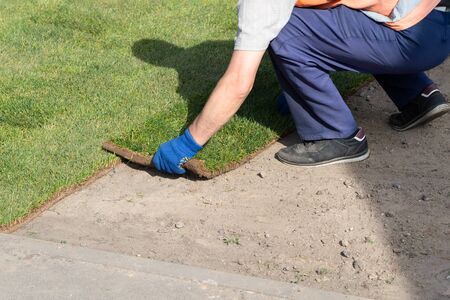 Professional gardener worker laying fresh artificially grown rolled lawn. Detail process of...