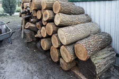 Chopped firewood storage under shed and oak wooden tree logs prepared for chopping and cutting at...