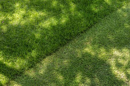 Straigh diagonal line of mowed tall grass at home backyard or city park. Lawn trimming service and garden maintenance concept. Lawnmower lawn care background with mid day shadows.の写真素材
