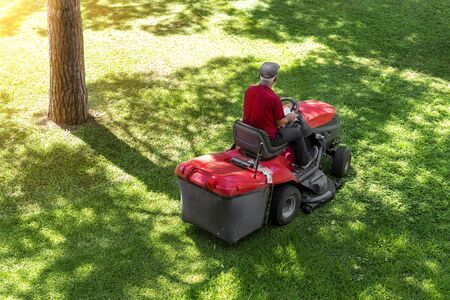 Top down above view of professional lawn mower worker cutting fresh green grass with landcaping tractor equipment machine at city park. Garden and backyard landscape lawnmower service and maintenance.の写真素材