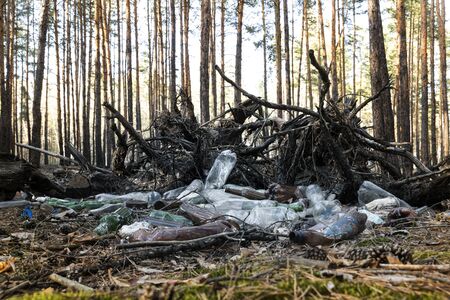 Big heap plastic and glass bottles waste in pine forest. Nature woods landscape environment polluted by human rubbish recyclable litter. Ecology contamination disaster danger.の写真素材