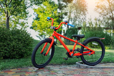 New bright red color teen bike stand in garden at home backyard. Child birthday gift present. Kid sport outdoor activity conceptの写真素材