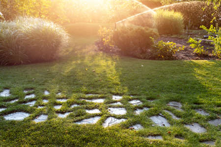Landscape automatic garden watering system with different sprinklers installed under turf. Landscape design with lawn hills and fruit garden irrigated with smart autonomous sprayers at sunset timeの写真素材
