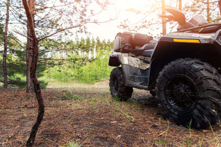 ATV awd quadbike motorcycle pov view near tree in coniferous pine foggy forest with beautiful nature...