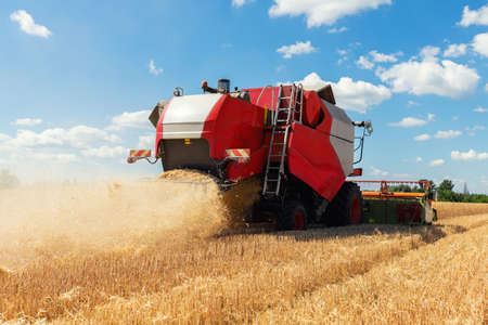 Scenic front view Big red powerful industrial combine harvester machine reaping golden ripe wheat cereal field on bright summer or autumn day. Agricultural yellow field machinery landscape backgroundの写真素材