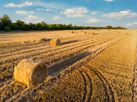 Aerial drone top scenic sunset view of many rolled hay bales on harvested golden wheat field at countryside against blue sky. Agricultural rural nature scene. Country farming landscape backgroundの写真素材