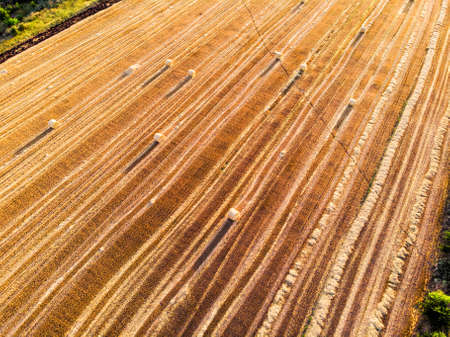 Aerial drone top scenic sunset view of many rolled hay bales on harvested golden wheat field at countryside against blue sky. Agricultural rural nature scene. Country farming landscape backgroundの写真素材