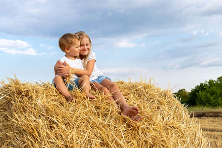 Pair of two cute adorable little caucasian sibling kids enjoy sitting on haystack bale and hug together at country nature farm on warm summer day. Brother and sister friendship, love and care conceptの写真素材