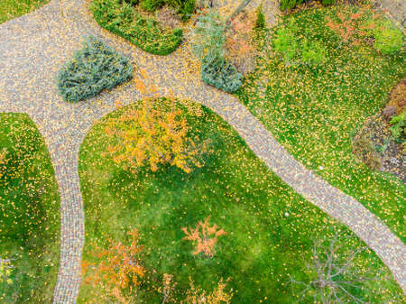 Aerail view of walk path between multicoloroed bright vibrant garden tree first fallen dry leaves on green grass lawn at home yard or city park in october. Autumnal scenic nature foliage backgoundの写真素材