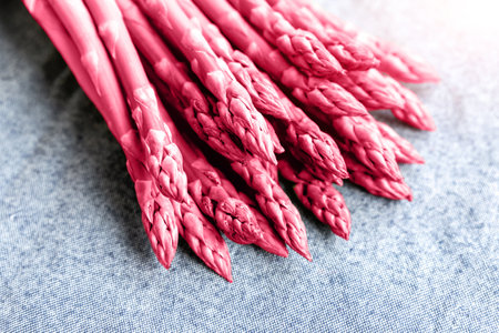 Close-up detail bunch of fresh raw green asparagus plant harvested at season on grey fabric kitchen toned Color of the year 2023 Viva Magenta background. Healthy vegeterain gourmet vegetable foodの写真素材