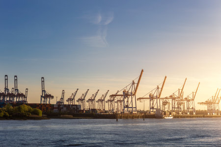 Scenic view row big cargo container ship loading Hamburg city port harbour seaport cranes at warm morning sunrise light sky. Global commercial trade freight charter shipping logistics backgroundの写真素材