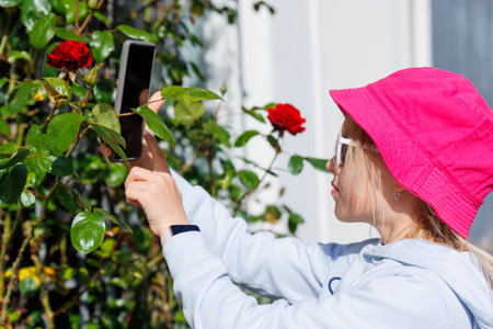 Little cute adorable blond kid take photo of blooming pink red rose flowers on German city street on sunny summer day. Kid shooting nature photography with smartphone. Happy girl hobby activitiesの写真素材