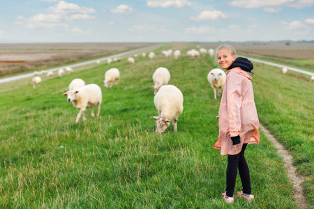 Kid walk have fun with many grazing sheep herd scene dyke green field pasture meadow grassland at North Sea coast East Friesland Lower Saxony Germany. Scenic german rural countryside landscape viewの写真素材