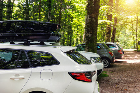 Scenic view national park forest resort parking with cars roof box rack against sunny nature woods landscape. Family holidays journey travel auto tripの写真素材