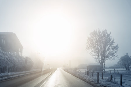 Scenic quiet winter road frosty valley covered mist fog and snow. Bare trees and distant mountains glow softly under the pale morning light. Alpine mountain village winter morning sunriseの写真素材