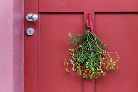 Green mistletoe with small white berries hangs on a red door, tied with a bright ribbon. Simple festive decoration brings cozy winter mood and holiday warmth to a traditional home entranceの写真素材