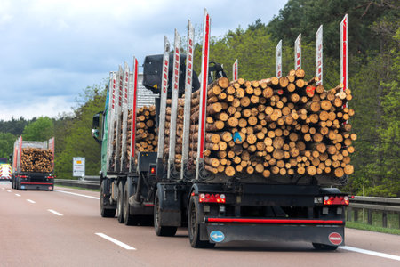 Back view many long heavy industrial wood carrier cargo vessel truck trailer with big timber pine, spruce, cedar driving on highway road with blue sky background. Timber export and shipping conceptの写真素材