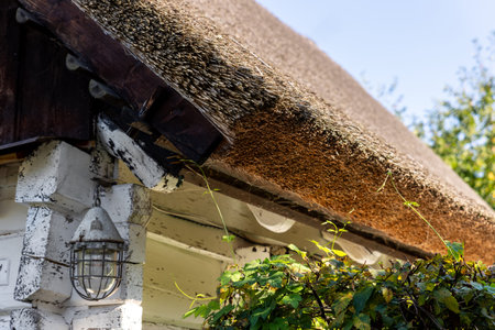 Thatched roof detail rustic cottage straw and wooden eaves captured warm sunlight garden greenery. Vintage lantern weathered wall traditional architecture peaceful countryside atmosphere