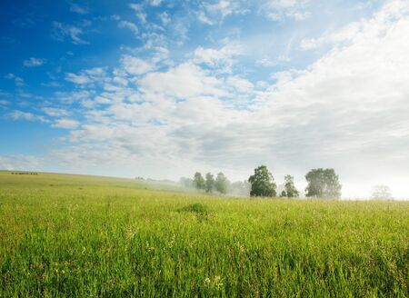 beautiful summer landscape and  skyの写真素材