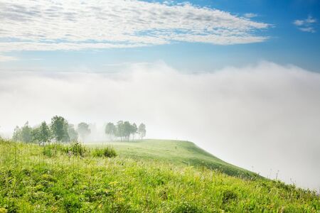 beautiful summer landscape and  skyの写真素材