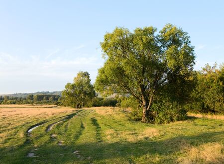 beautiful summer landscapeの写真素材