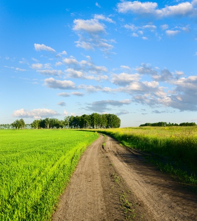 beautiful landscape and cloudy skyの写真素材