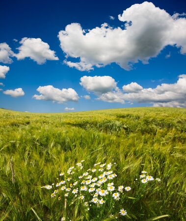 beautiful landscape and cloudy skyの写真素材