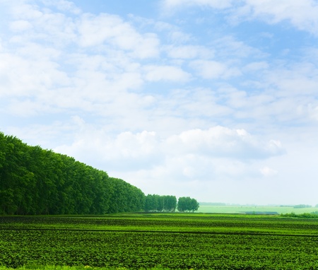 beautiful summer landscape and cloudy skyの写真素材