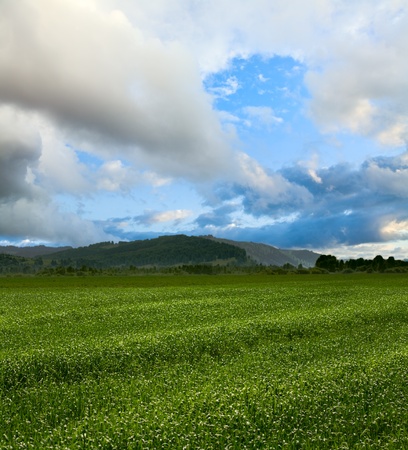 beautiful spring landscape and cloudy skyの写真素材