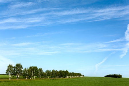 beautiful summer landscape and cloudy skyの写真素材