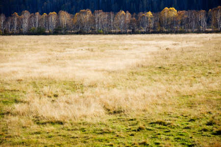 autumn landscape の写真素材