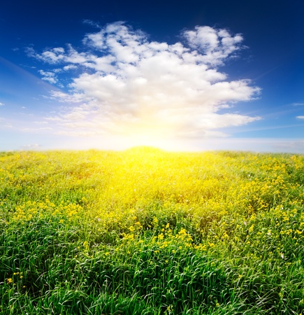beautiful spring landscapeの写真素材