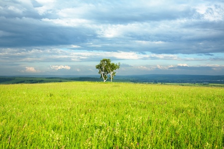 beautiful  summer landscape and cloudy skyの写真素材