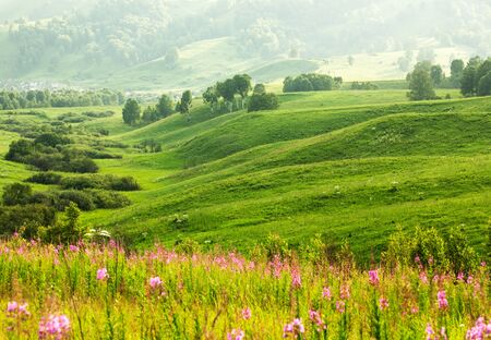 summer landscape with fogの写真素材