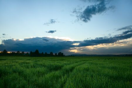 beautiful summer landscape and cloudy skyの写真素材