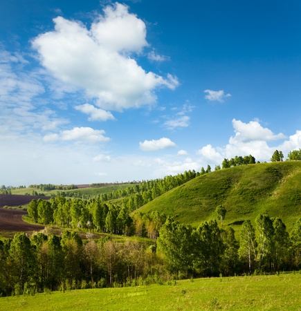 beautiful spring landscapeの写真素材
