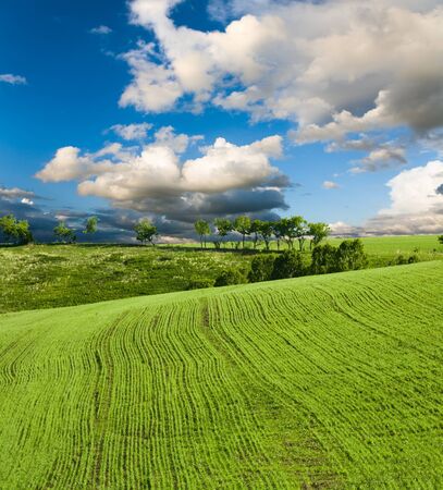 beautiful spring landscape and cloudy skyの写真素材