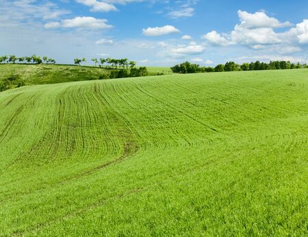 beautiful spring landscape and cloudy skyの写真素材