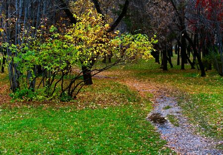 autumn landscapeの写真素材