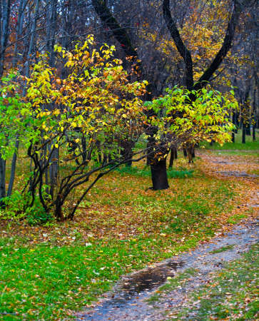 autumn landscapeの写真素材