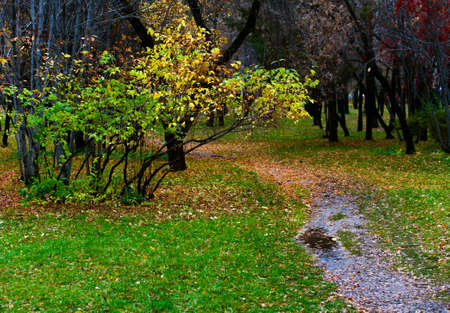 autumn landscapeの写真素材