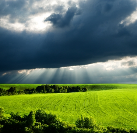 beautiful spring landscape and cloudy skyの写真素材
