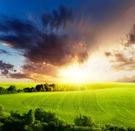 sunset and agricultural field の写真素材