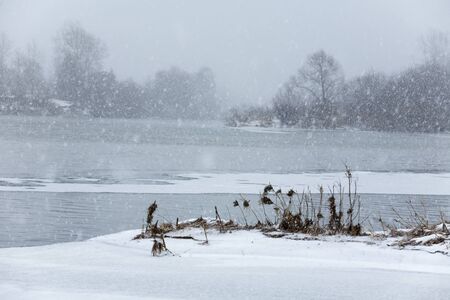 snowfall in a gloomy winter dayの写真素材