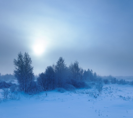 Winter landscape  Cold winter eveningの写真素材