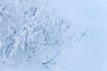 snow textureの写真素材
