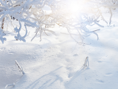 Winter landscape の写真素材