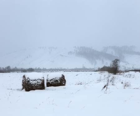Winter landscape. Cold winter eveningの写真素材