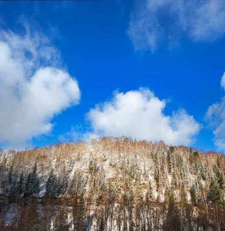 winter landscapeの写真素材